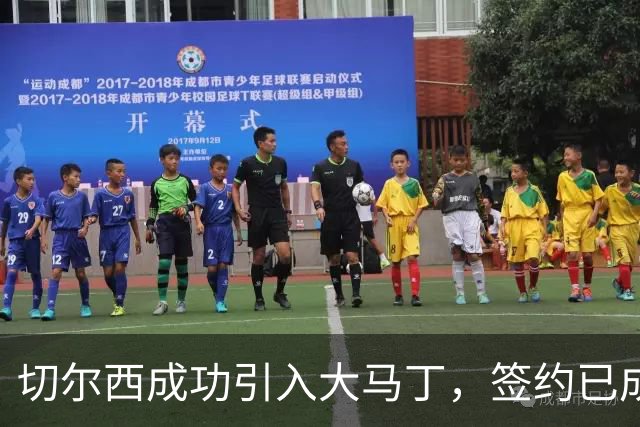 切尔西成功引入大马丁，签约已成事实
