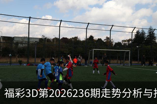 福彩3D第2026236期走势分析与推荐号码